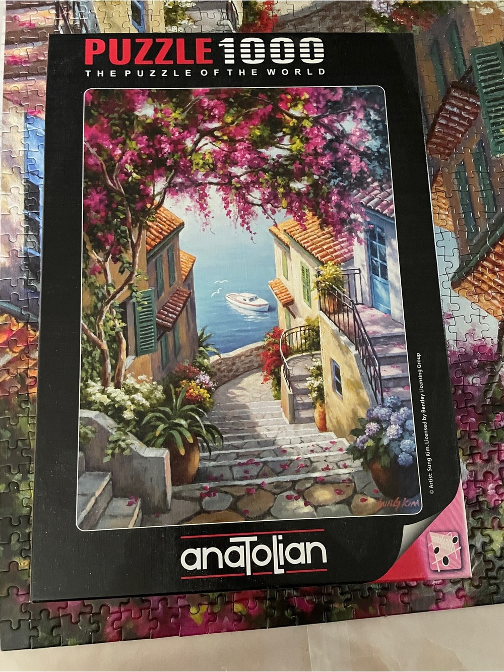 Anatolian 1000-Piece Coastal Staircase Puzzle - Colorful Scenic Art